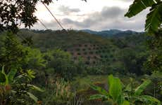 Excursión privada a la finca El Tesoro 