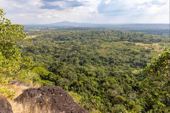 Excursión privada a la Reserva Natural Lumbí