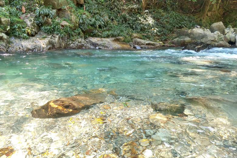 Aguas cristalinas de la quebrada Tasajos