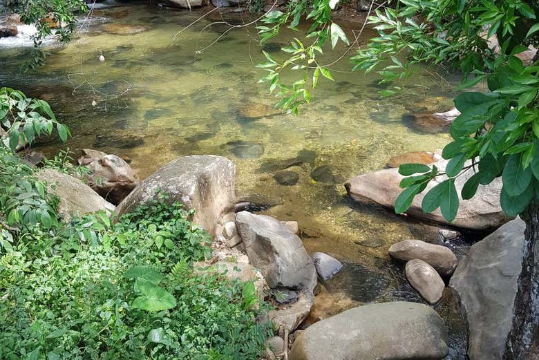 Cauce del río Sucio