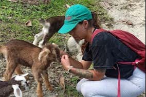 Saludando a los animales de la granja