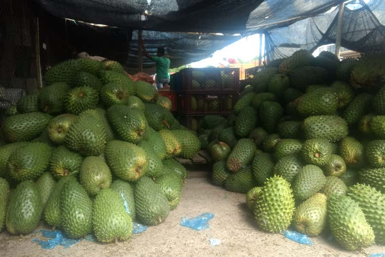 Frutas exóticas en Mariquita