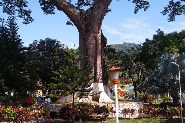 Parque principal de Victoria