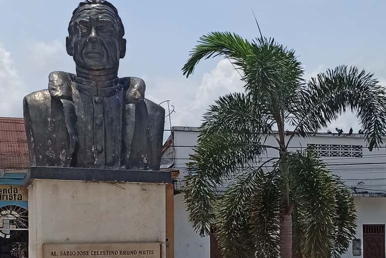 Busto de José Celestino Mutis