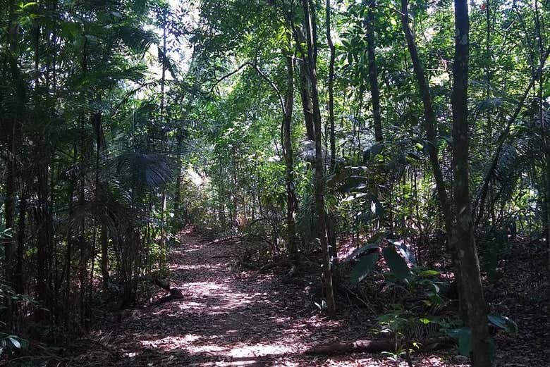 Senderismo por el parque Mutis
