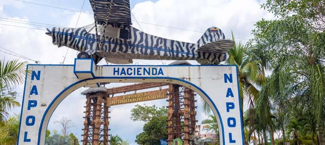 Excursión a la Hacienda Nápoles