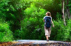 Excursão ao Parque Arví