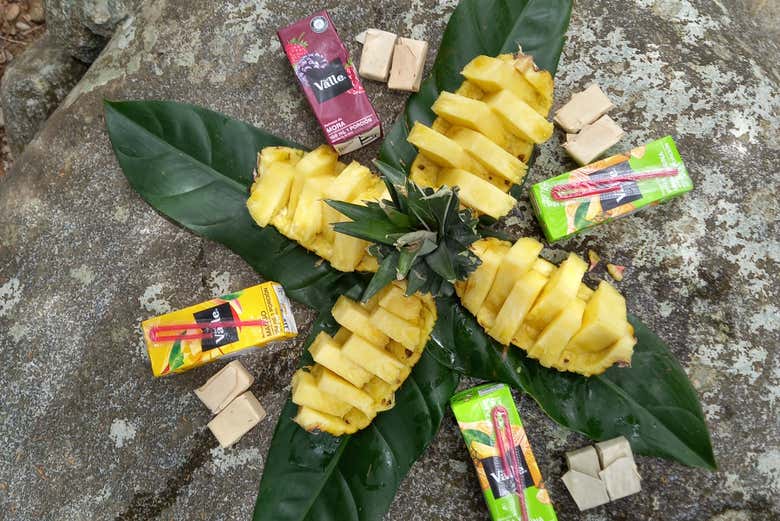 Un pranzo all'aria aperta