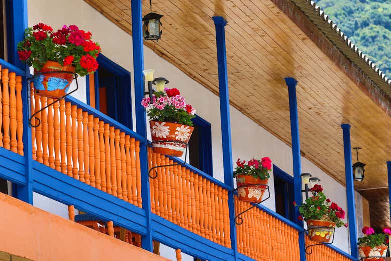 Marvel at the colorful details