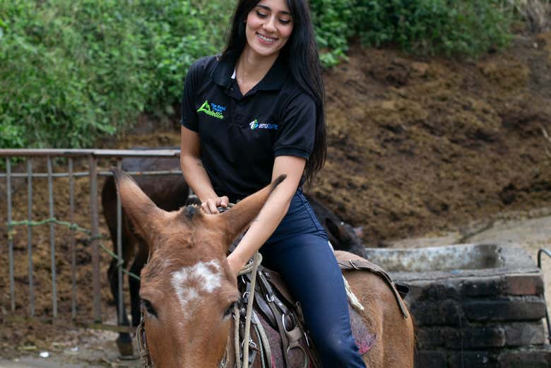 Cabalgando hacia los cafetales