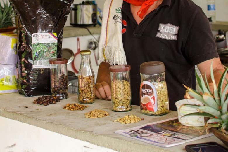 Tour del café en Medellín