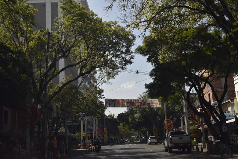 Ambiente tranquilo em Los Laureles