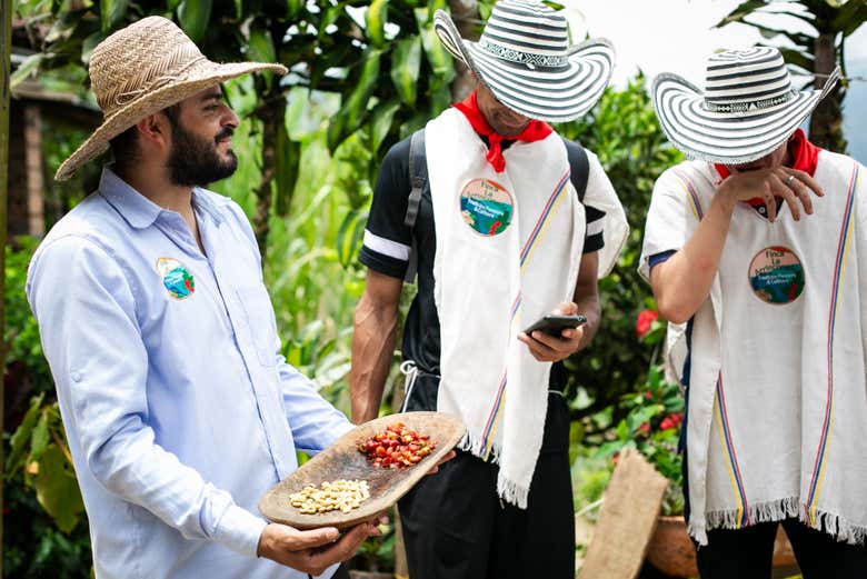 Conociendo el cultivo de café