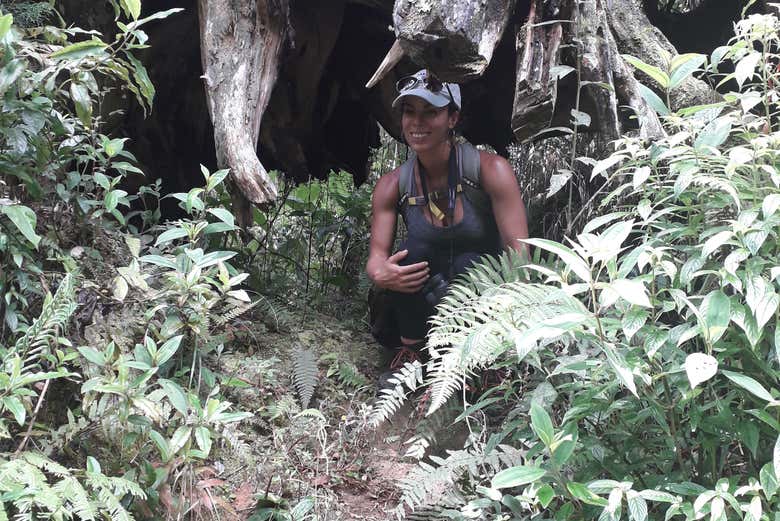 Você vai se supreender com a exubrante vegetação local