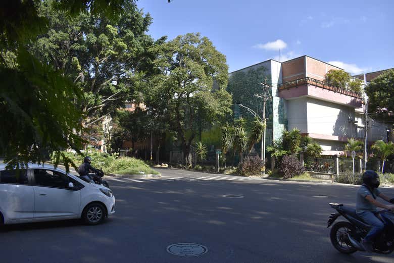 Um dia ensolarado em Los Laureles