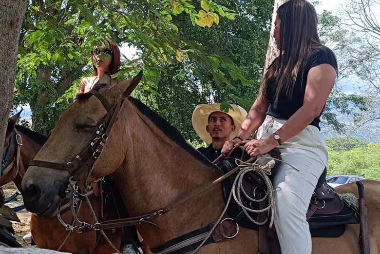 Impareremo le tecniche di base per montare a cavallo