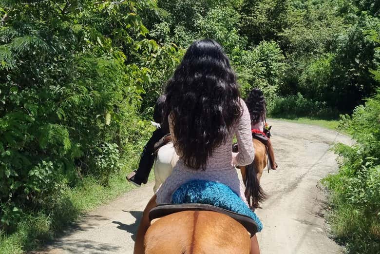 Nella foresta secca tropicale