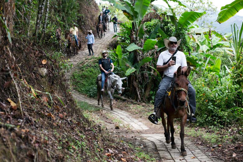 Cabalgando hacia la finca cafetera