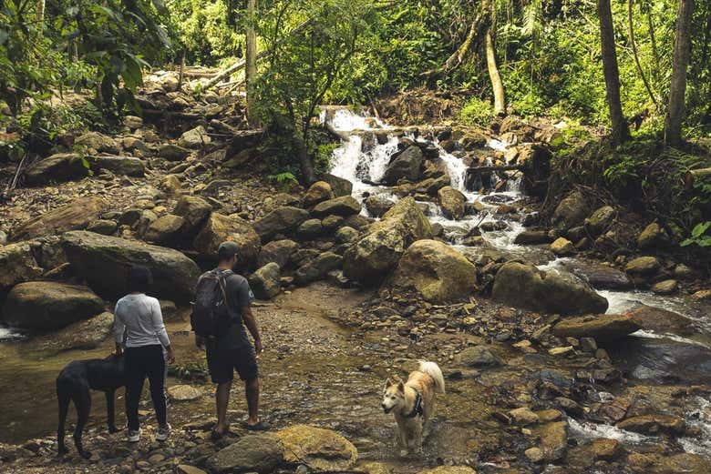 Vous découvrirez des paysages d'une grande beauté naturelle