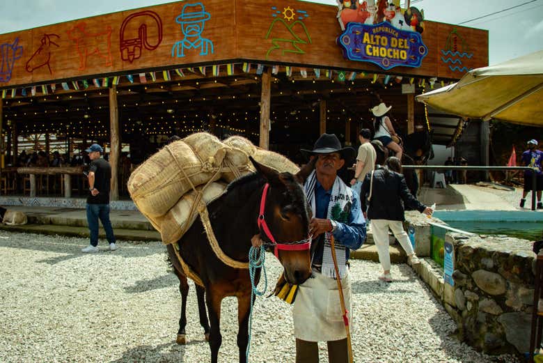 Veréis algunos caballos en la granja