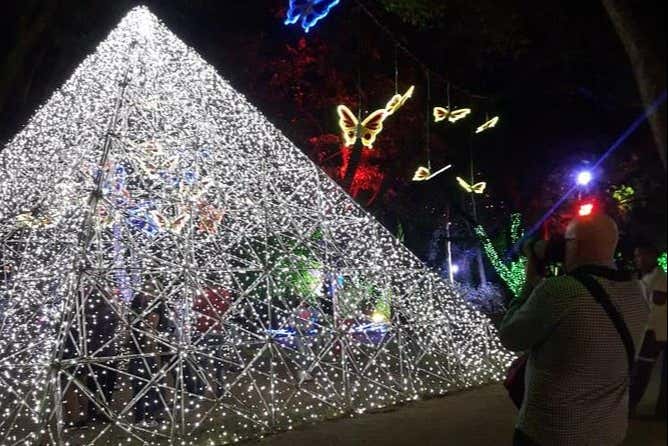 Uma das figuras iluminadas em Medeillín