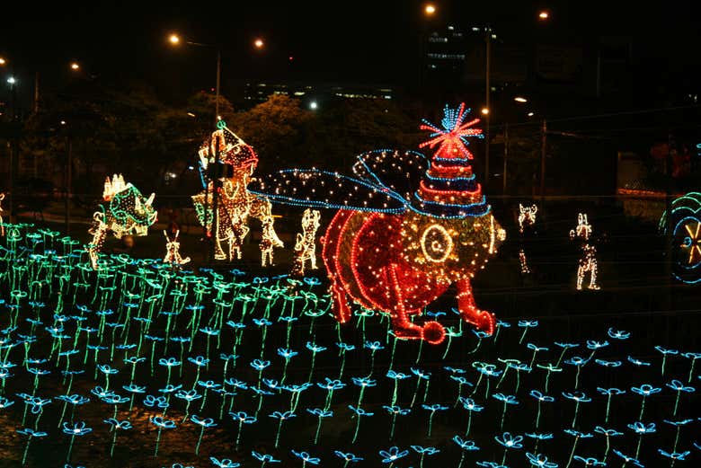 Desfrutando das luzes de Medellín