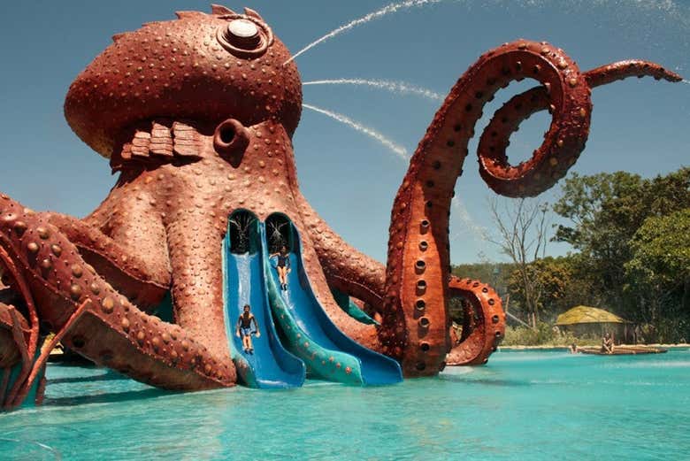 Toboganes del Octopus