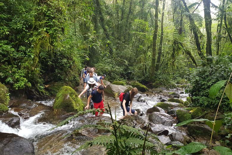 Immerse yourself in nature