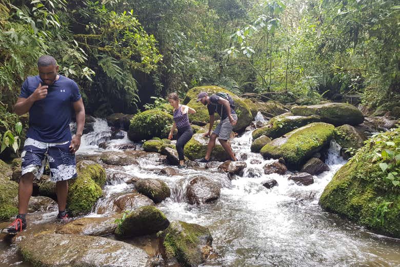Traverse the Colombian rainforest