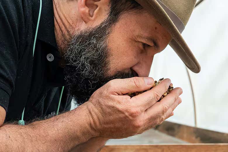 Os sentidos são uma parte vital da visita