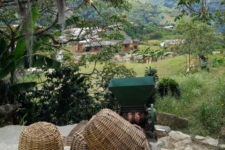 Varios canastos de café