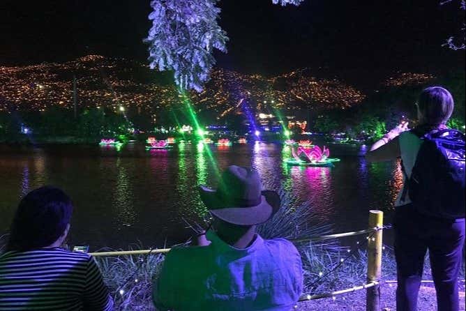Desfrutando das luzes do Natal