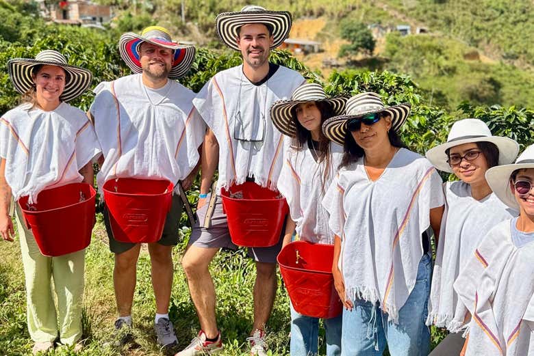 Collect the coffee beans