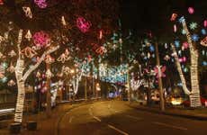 Medellin Christmas Tour