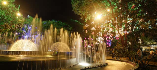 Tour serale della Medellín bohémien