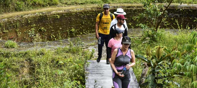 Trekking por el sendero El Tambo