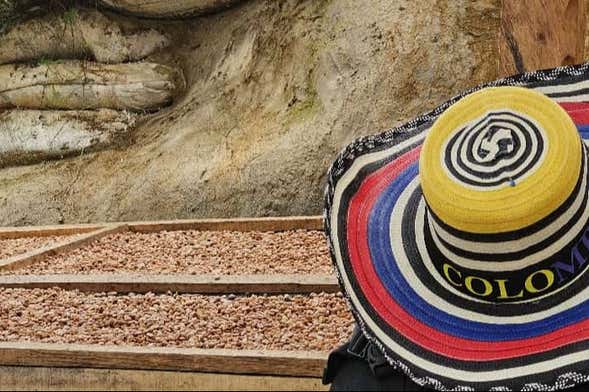 Visita a una finca de café en el barrio La Sierra