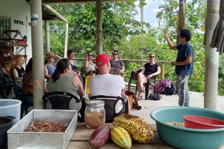 Aprendiendo sobre el cultivo de café y cacao