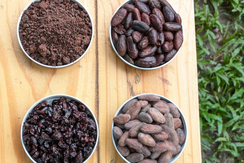 Diferentes tipos de cacao