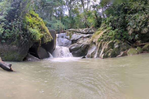 Senderismo por las cascadas de Minca