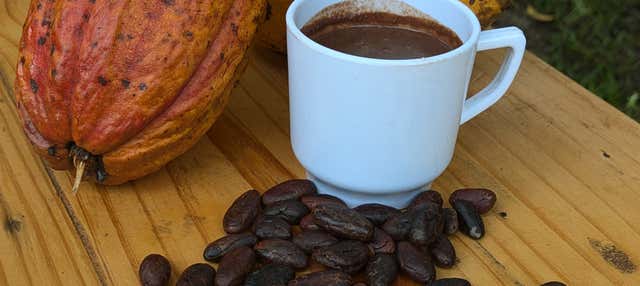 Atelier sur le cacao à la Casa Jocolate Minca