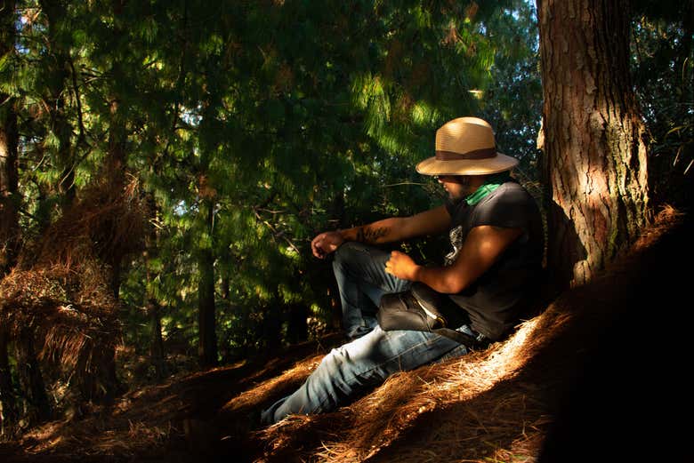 Sosta all'ombra di un pino