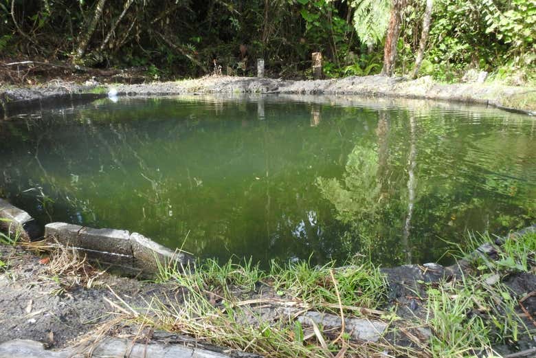 Eaux thermales de Canaán