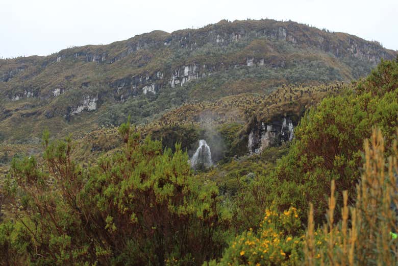 Trilha pelo Vale dos Frailejones