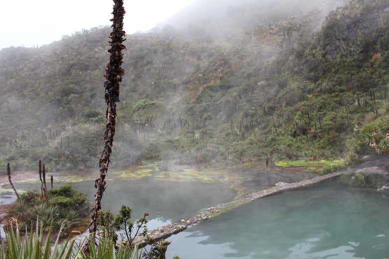 Águas termais La Cabaña