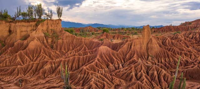 Excursión al Desierto de la Tatacoa