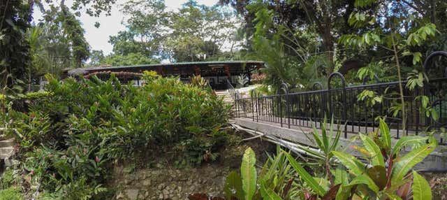 Excursión a las Termales de Rivera