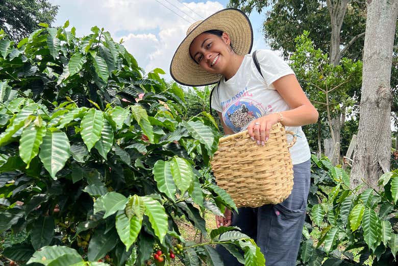 Profitez de l'expérience