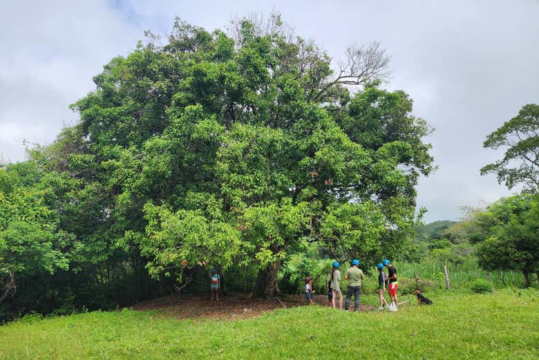 En mitad de la naturaleza de Neiva