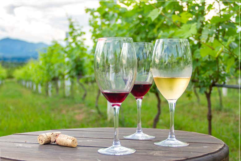 Degustaremos um vinho da casa